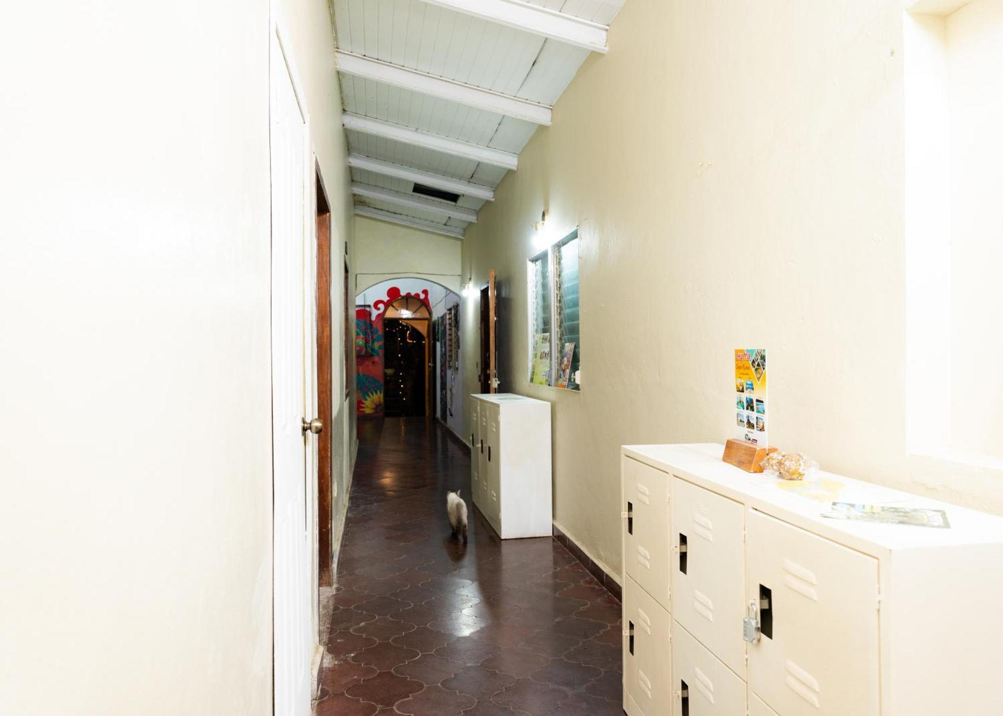 Stella Hostal - Central Park Copan Екстер'єр фото
